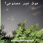 Meytideepe Non Artificial Intelligence